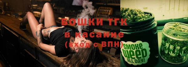 молекула духа Мегион