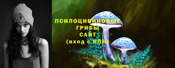 a pvp Медвежьегорск