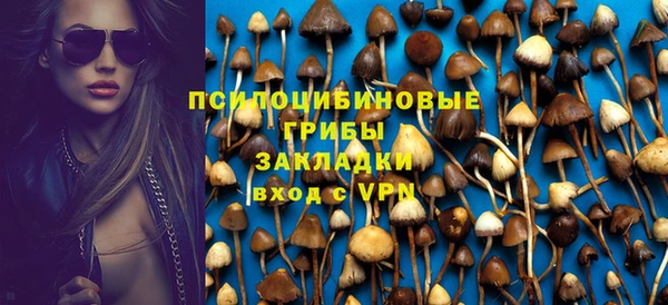 ГАЛЛЮЦИНОГЕННЫЕ ГРИБЫ Наволоки