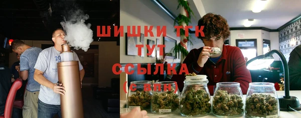 ГАЛЛЮЦИНОГЕННЫЕ ГРИБЫ Наволоки