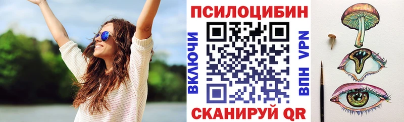 Галлюциногенные грибы Psilocybe Тбилисская
