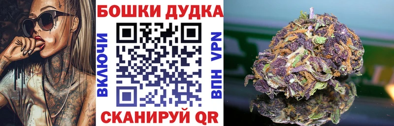Каннабис Amnesia  Тбилисская 